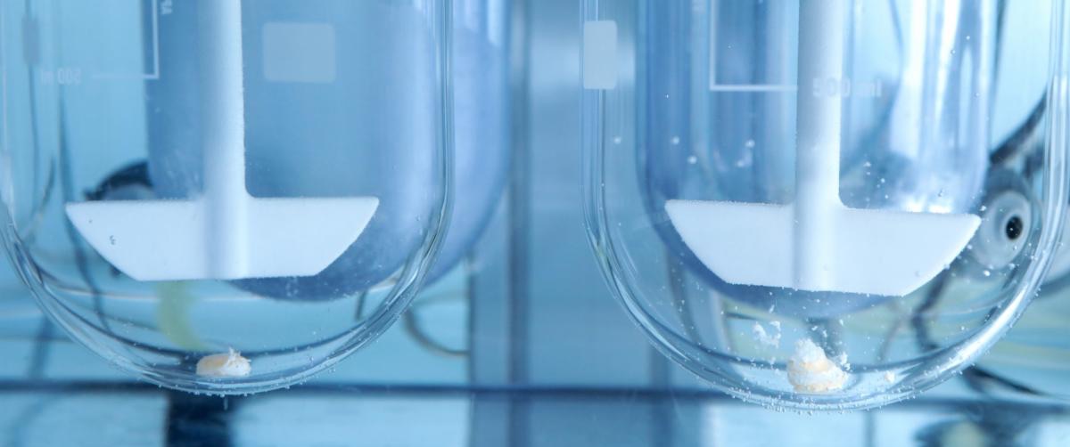 Dissolution testing